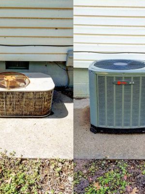 WhatsApp Image 2024-04-18 at 7.41.19 p. m.